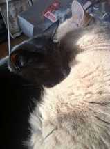 写真 12-02-05 14 34 26-M.jpg